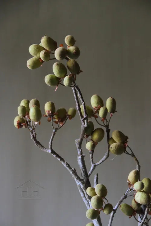 Künstlicher Erlenzweig grün 