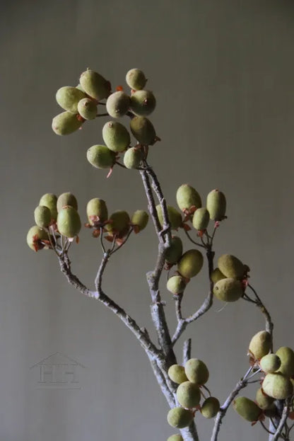 Künstlicher Erlenzweig grün 