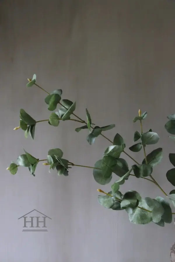 Kunsttak eucalyptus decoratie