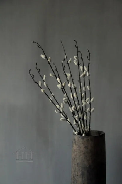 Katjes kunsttakken - bundel van 3