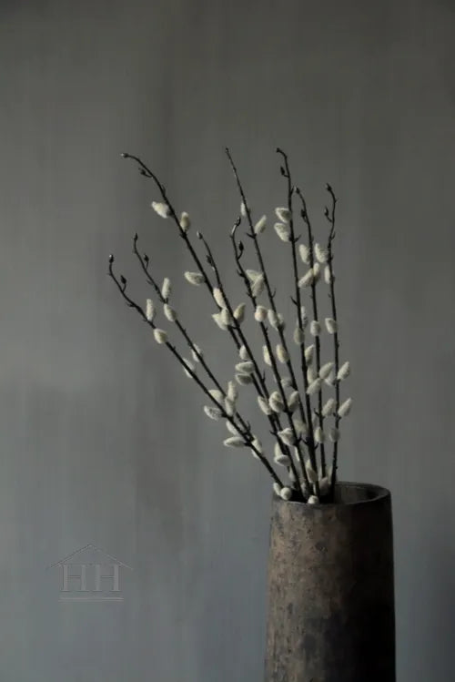 Katjes kunsttakken - bundel van 3