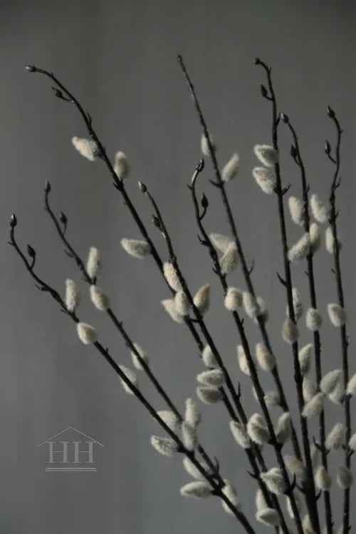 Katjes kunsttakken - bundel van 3