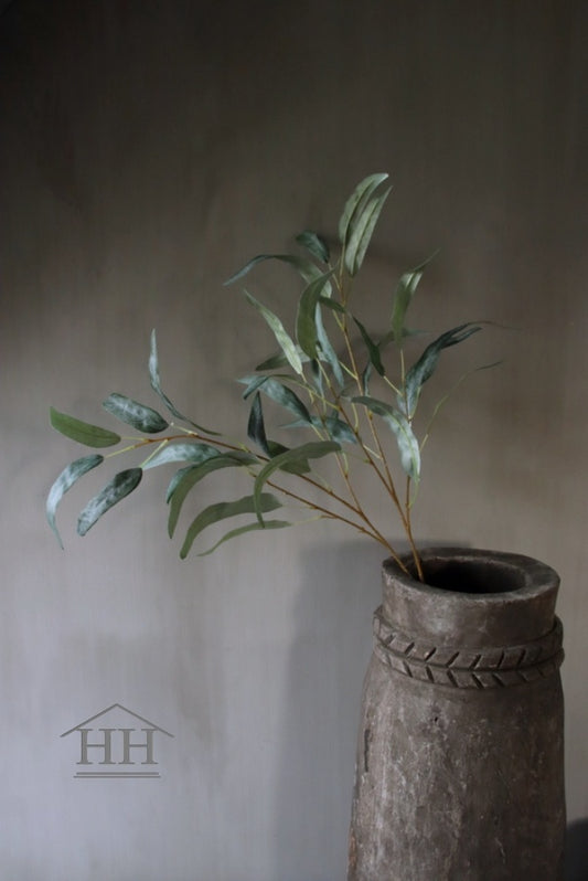 Eucalyptus (Willow Spray) (628)