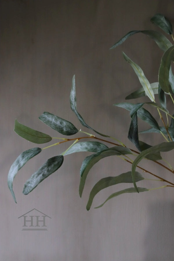 Eucalyptus (Willow Spray) (628)