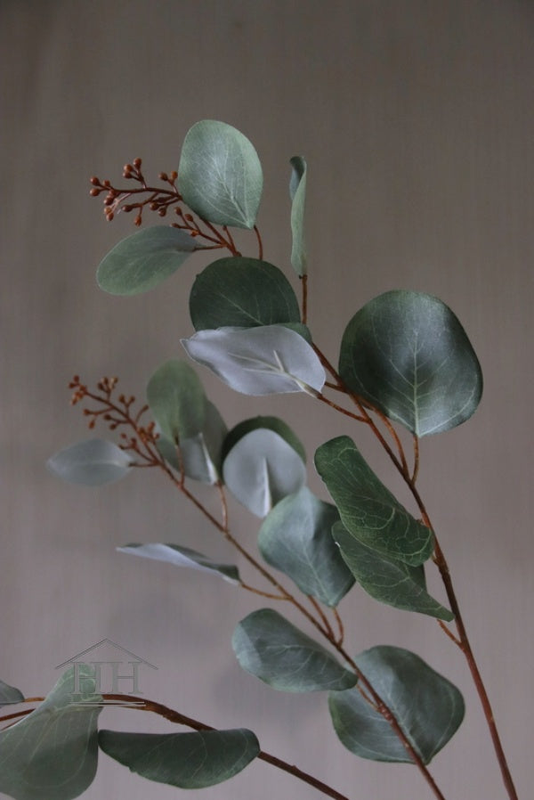 Eucalyptus spray (888)