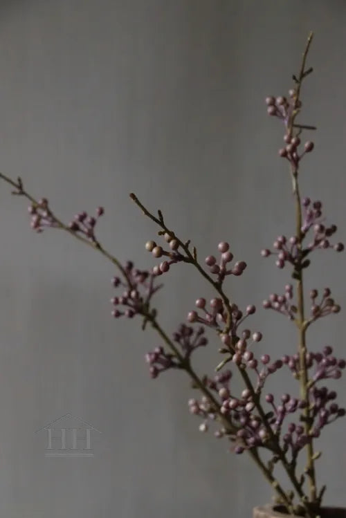 Bündel aus 3 losen Zweigen mit lila/violetten Beeren