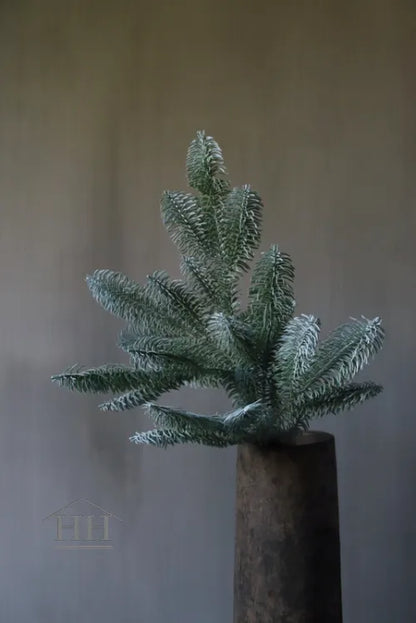 Kunst nobilistak 60cm