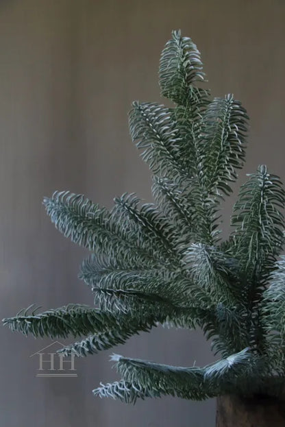 Kunst nobilistak 60cm