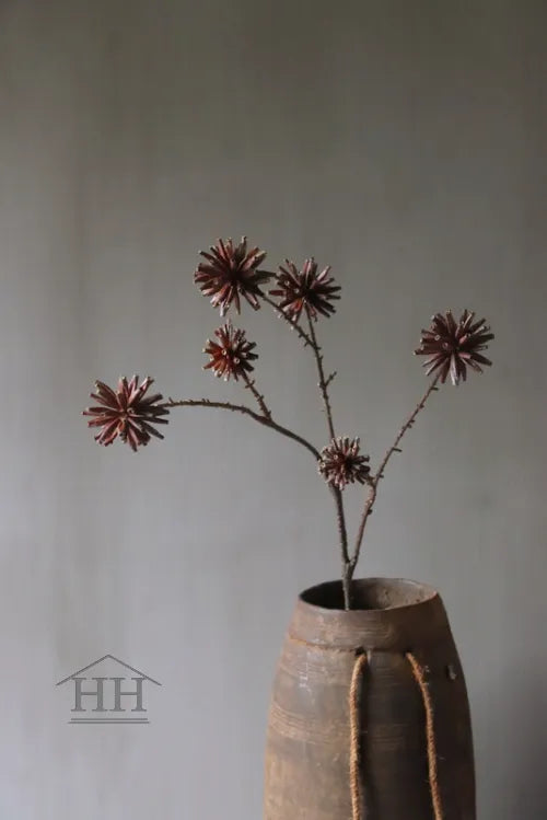 Dill brown 120 cm (long brown flowers)