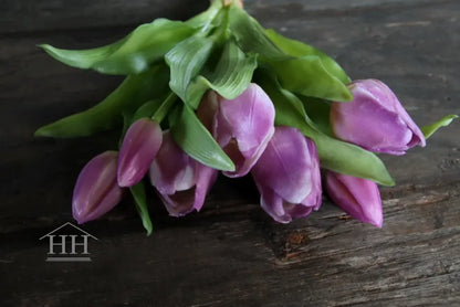 Tulpen bundel lila mix 30cm