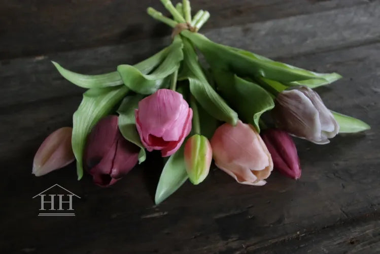 Tulpen bundel mauve mix 30cm