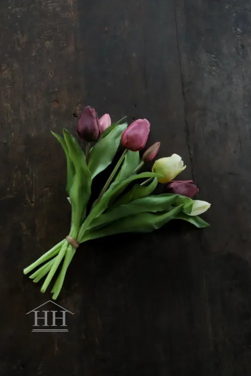 Middelmaat tulpen mauve mix