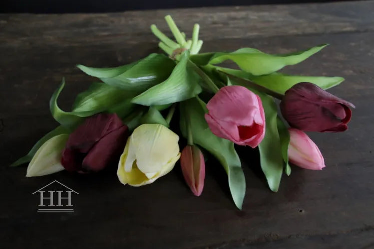 Middelmaat tulpen mauve mix