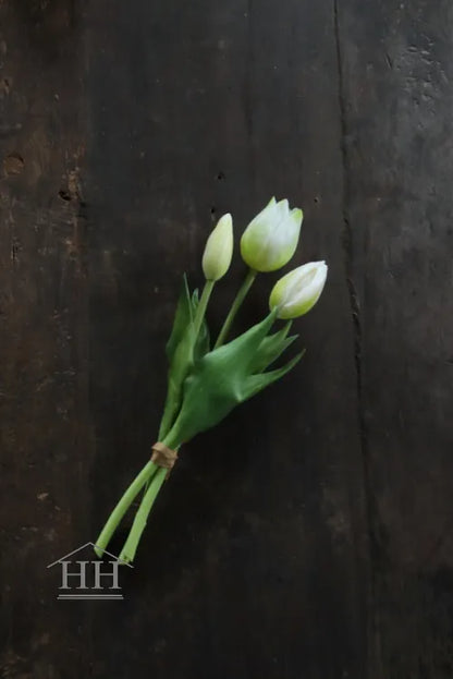 Short artificial tulips white - 25 cm - 3 stems