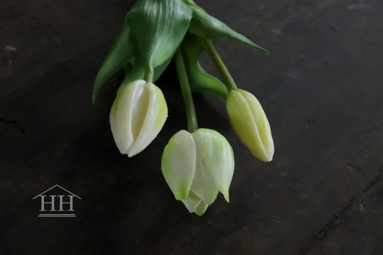 Short artificial tulips white - 25 cm - 3 stems