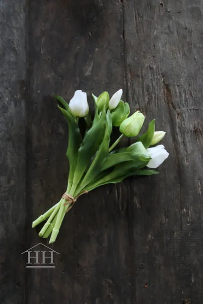 Tulpen bundel mix wit - groen 30cm