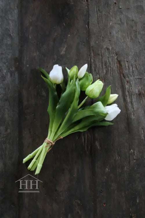 Tulpen bundel mix wit - groen 30cm