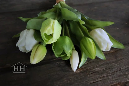 Tulpen bundel mix wit - groen 30cm