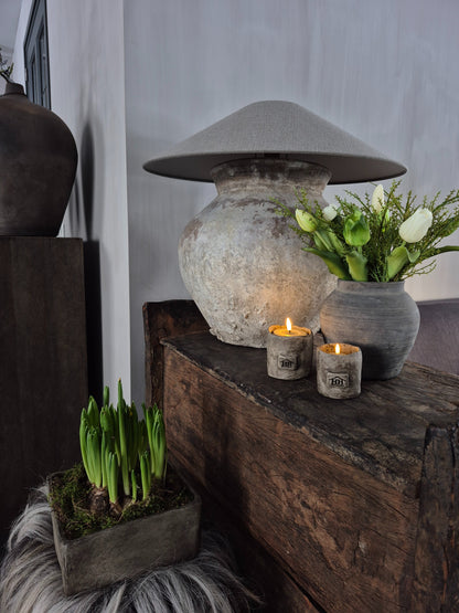 Tulpen bundel mix wit - groen 30cm