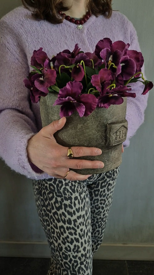 Set ronde betonnen pot met magenta viooltjes