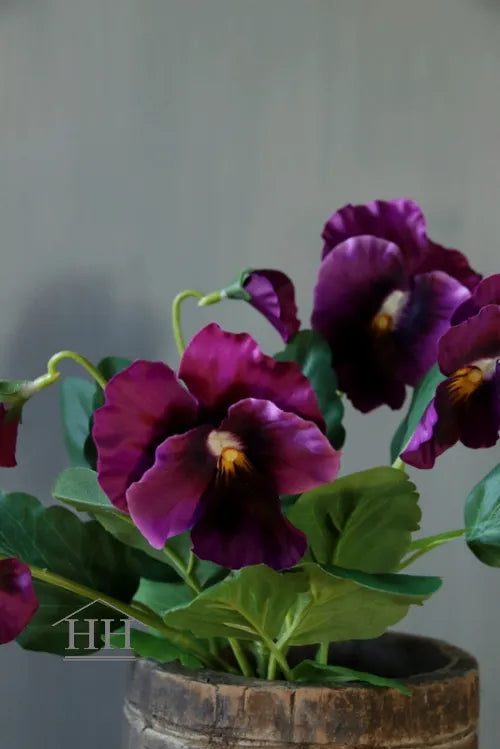 Grootbloemige kunstviool magenta met geel-wit hartje