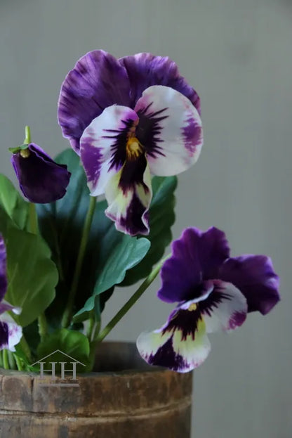 Grootbloemige kunstviool paars met wit hartje