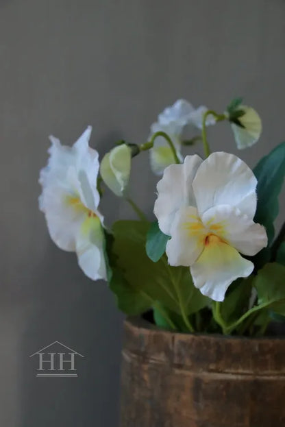 Grootbloemige kunstviool wit met geel hartje