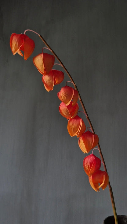 Physalis kunstbloem oranje - 88 cm