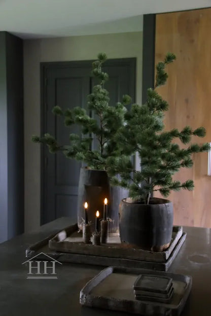 Larix boom in zwarte binnenpot - 81 cm