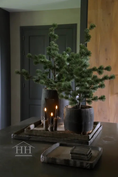 Larix boom in zwarte binnenpot - 81 cm