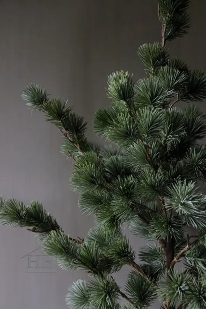 Larix boom in zwarte binnenpot - 81 cm