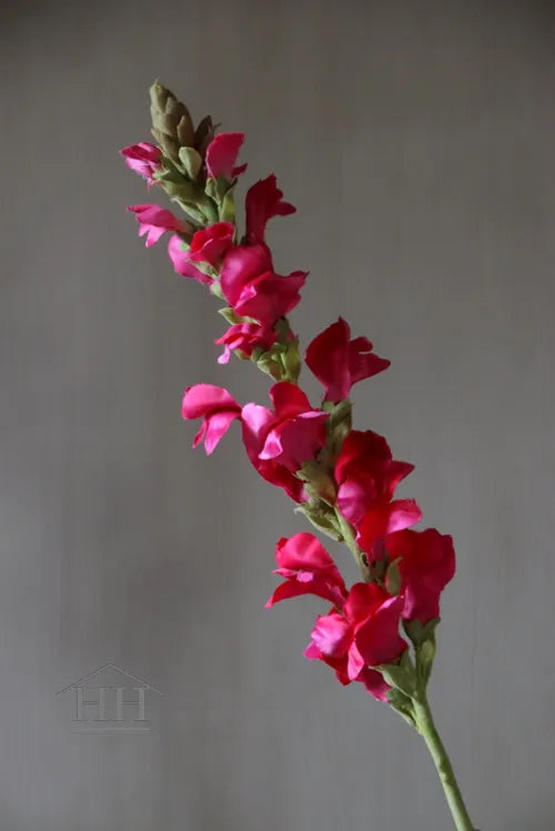Kunst-Löwenmäulchen, dunkelrosa