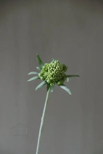 Losse kunstbloem scabiosa met een nepbloem die net echt lijkt