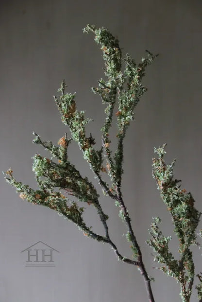 Moos Kunstzweig 85cm graugrün