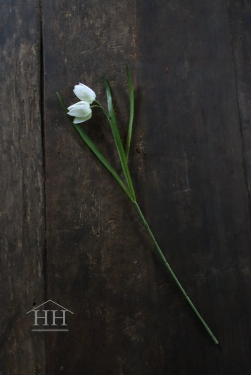 Nepbloem fritillaria voorjaarsbloem met witte bloemen