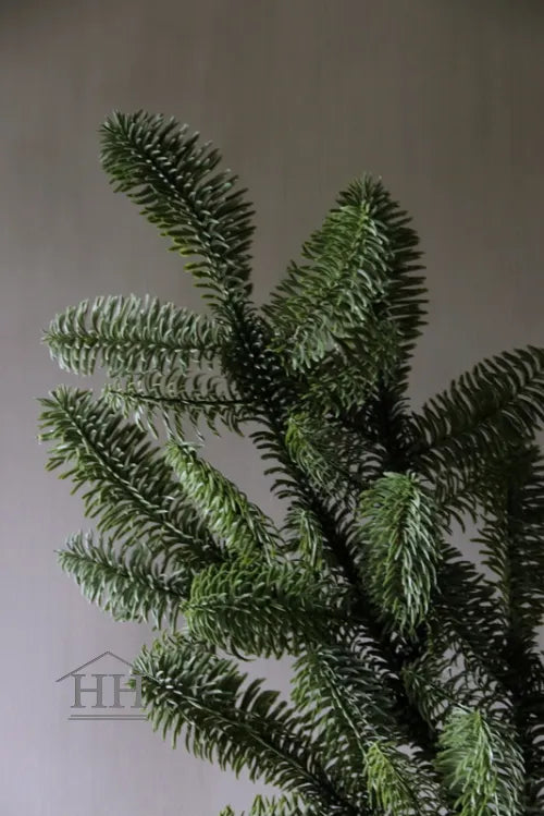 Artificial Nordmann pine branch 70cm