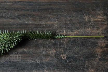 Artificial Nordmann pine branch 70cm