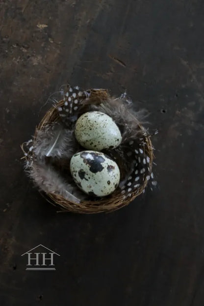 Nestjes met 2 kwarteleitjes en veren