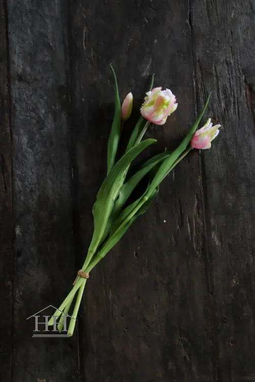 Kunsttulpen lichtroze papegaai