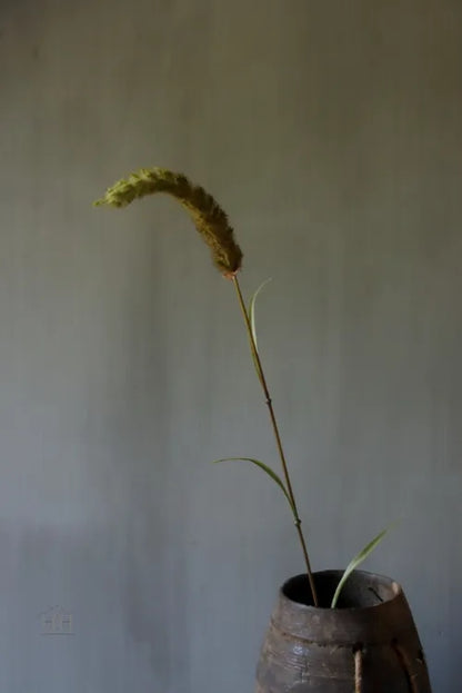 Kunst siergras Pennisetum 85cm