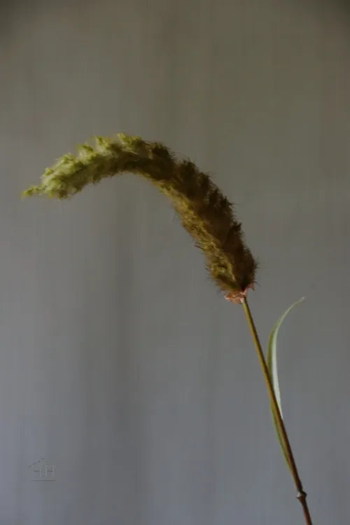 Kunst siergras Pennisetum 85cm