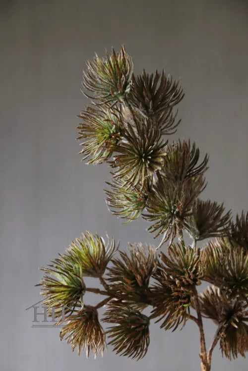 Pine spray bruin/groen