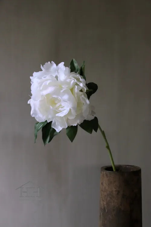 Zijdenbloem pioenroos 58 cm wit