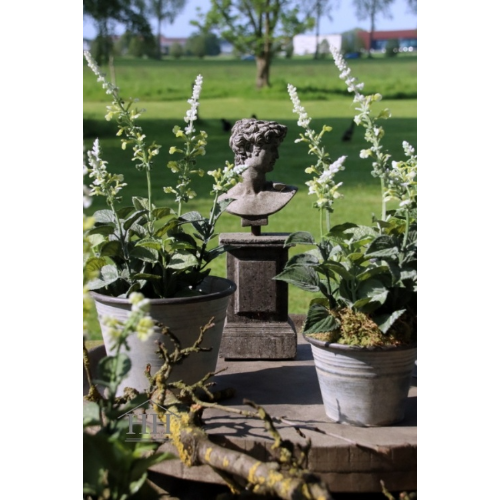 Pot van zink voor in de tuin