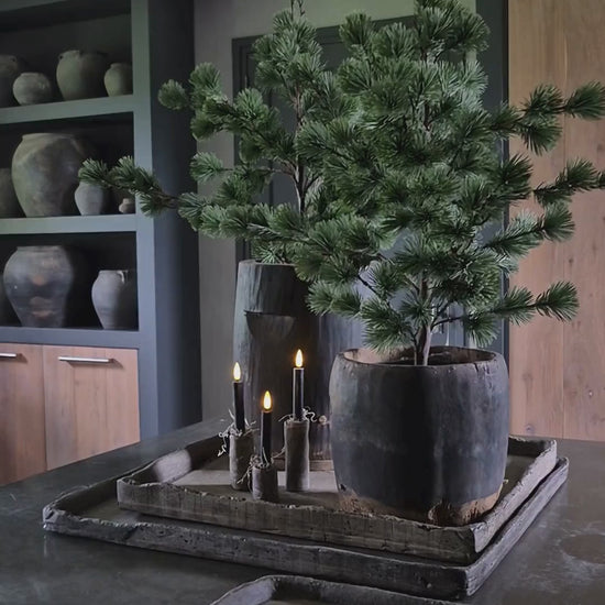 Kerstdagen Hillary'sHome