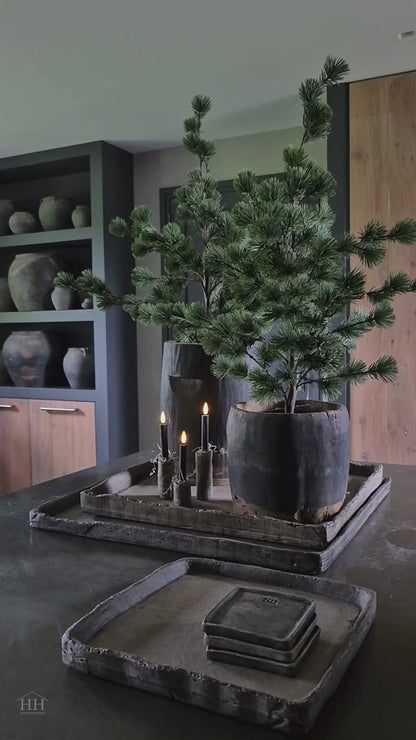 Kerstdagen Hillary'sHome