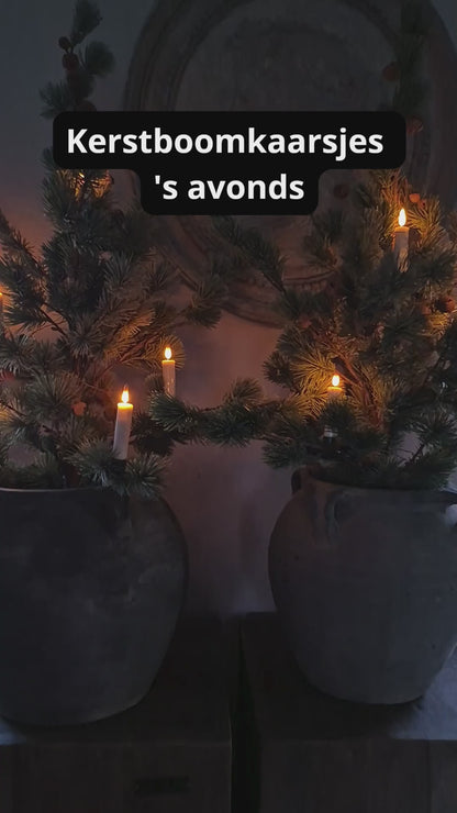 Kerstboomkaarsjes in larix boom