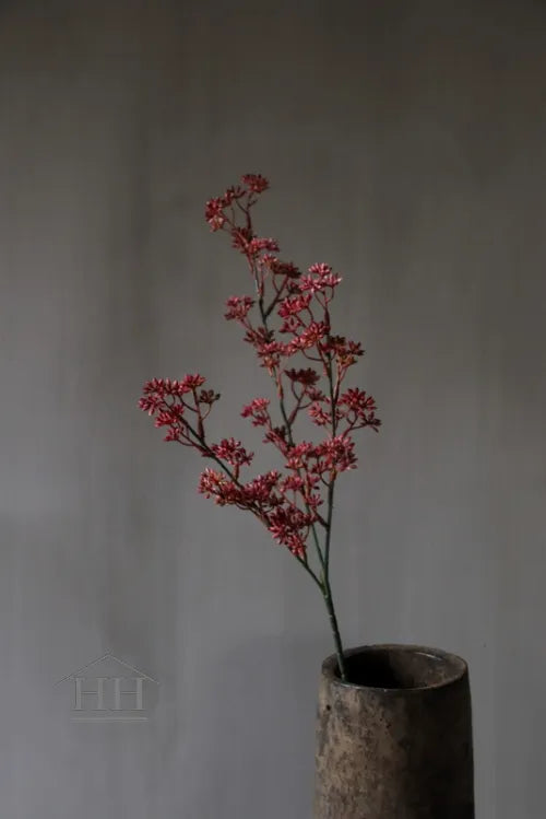 Kunst Prunus burgundy