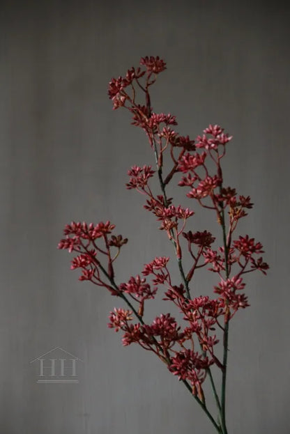 Kunst Prunus burgundy