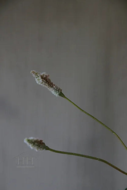 Ptilotus kunsttak - 69 cm